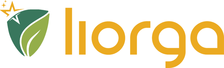 Liorga Nigeria Limited logo